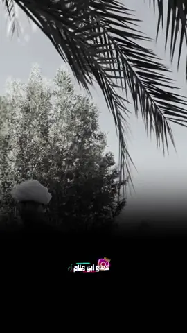 الواحد مش عارف ينزل حاجه علي التيك توك ولا علي فيسبوك علشان اناس الي علي راصهم بطحه كترو #LIVEFest2025 #اسوان_الاقصر_قنا_سوهاج_اسيوط_السودان #الضوي 