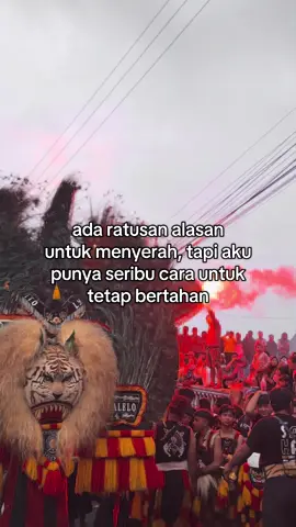 #boloreog #storyreog #fyp 