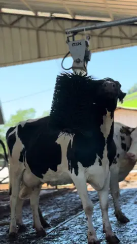 Home ❤️😚#fypviralシviral 