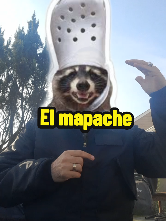 En tiempos políticos revueltos, la Academia sigue siendo un espacio seguro para la ironía, la evidencia y el pensamiento crítico. A veces, la taxonomía explica mejor la realidad que cualquier discurso. Aquí no hay insulto: hay ciencia, contexto… y un poco de humor incómodo. Porque cuando la realidad supera a la ficción, la Academia simplementa la documenta. #Honduras #seamosmejoressiempre #fyp #parati #biología 