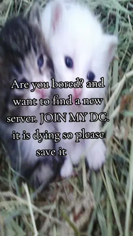 SAVE ME  https://discord.gg/jRrrgkHMm #discord #fyp #viral #friends #foryou 