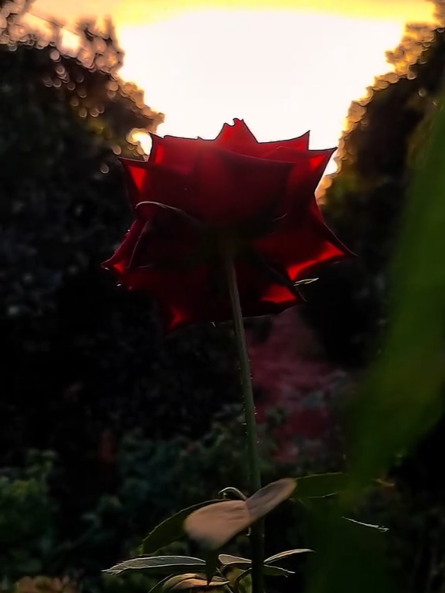 Her yoldan dönülür herşeye bir çözüm bulunur ölüm hariç bir varız bir yokuz tat almaya bakın hayattan ölüm hariç herşeyin bir çaresi vardır okadarda yıpratmayın yormayın kendinizi...