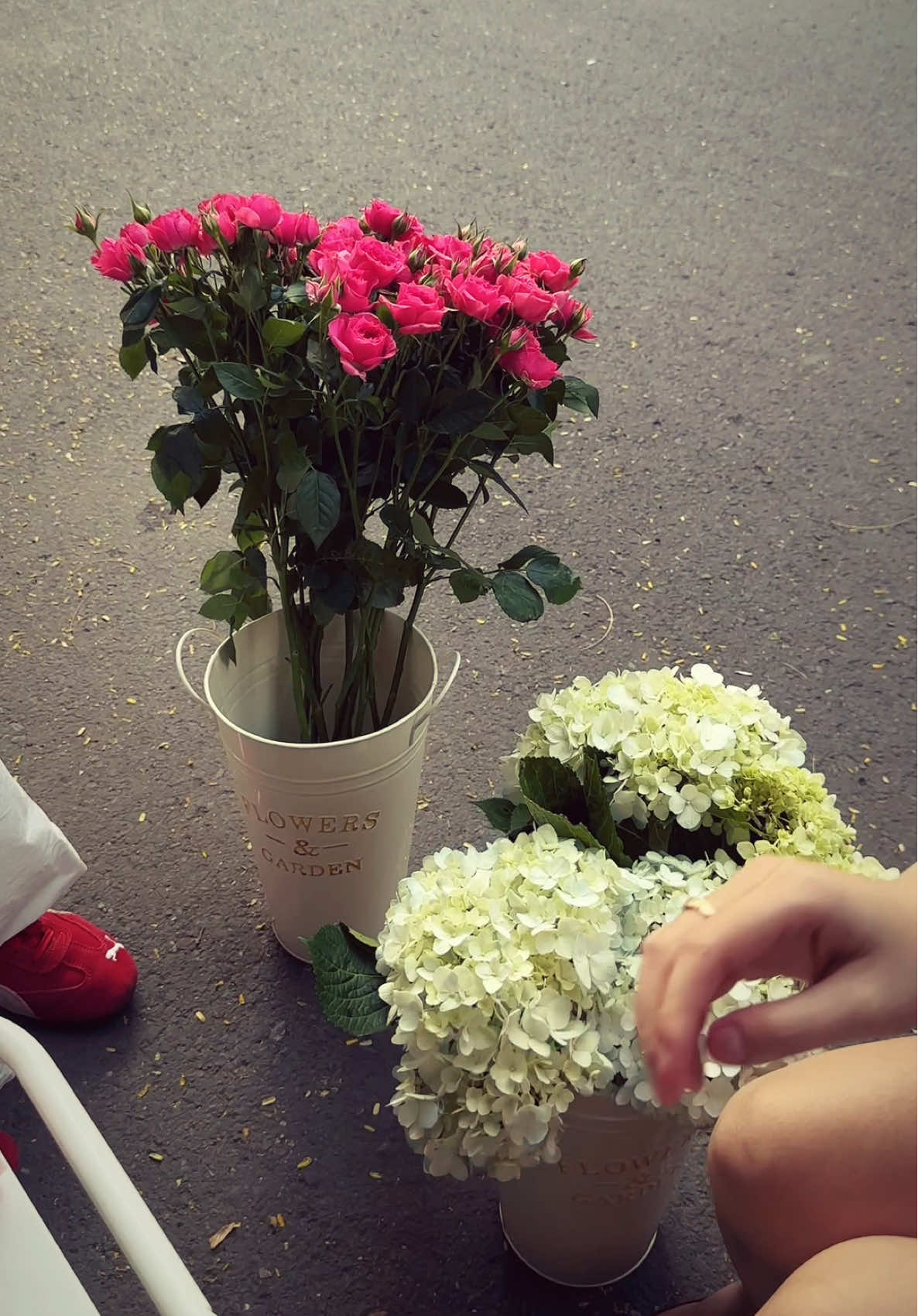 Hello, e có khoẻ kh