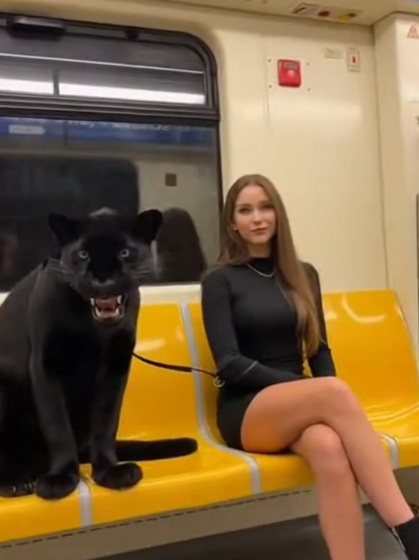 #dlaciebie #smieszne #dziewczyny #fyp 