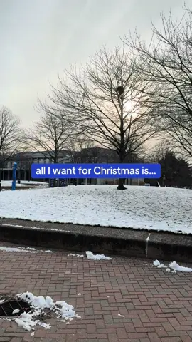 Santa, if there’s no diploma under my tree, I’m filing a complaint. #college #collegelife #graduation #collegestudent #christmas 