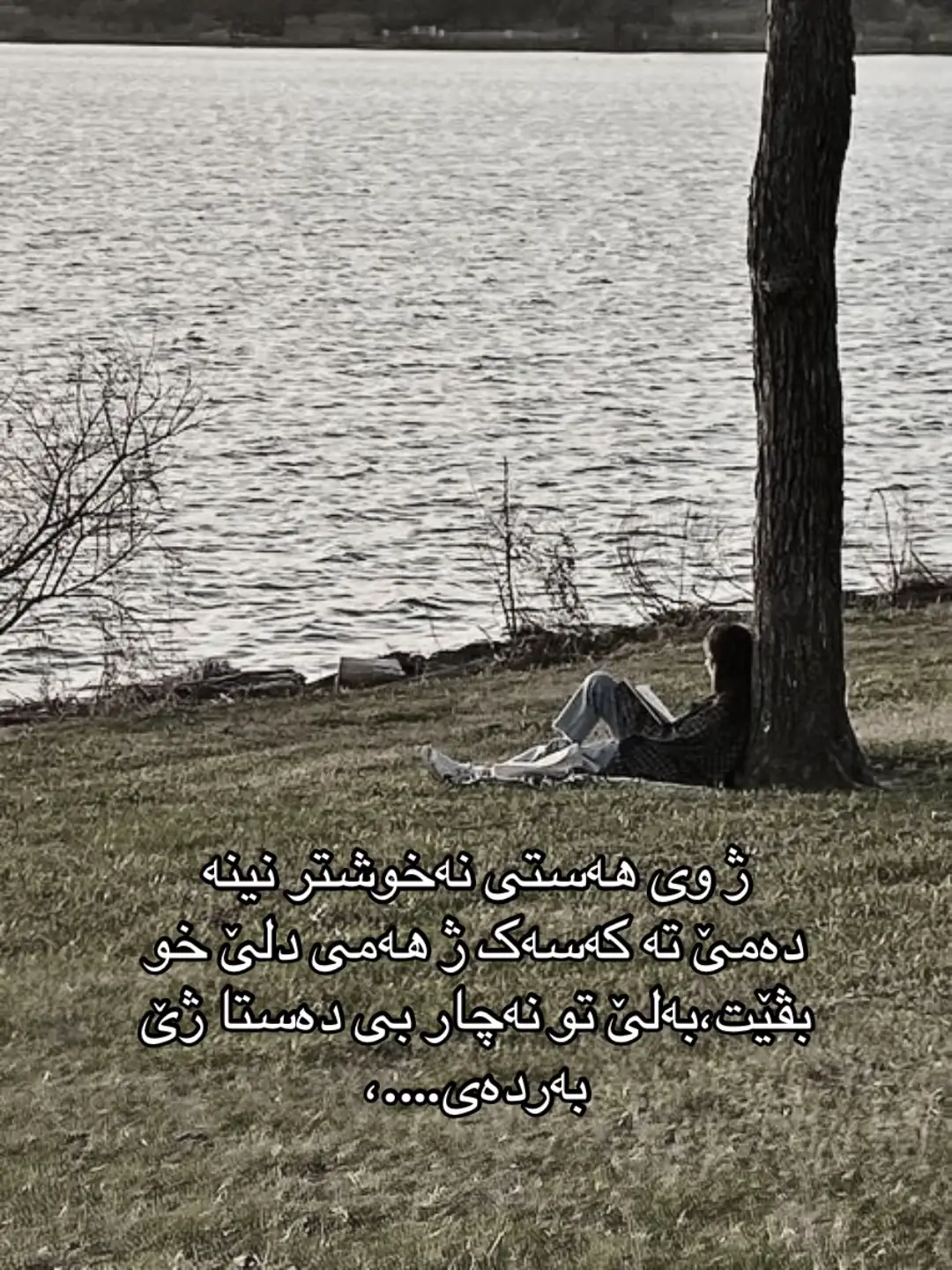 🤷🏽‍♀️.#foryou #zakho_duhok_hawler_slemani_akre #explore #fyp #tiktok 🦩