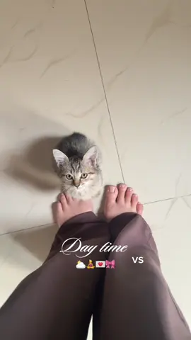 the morning vs the night ⛅️🌙 #daynightcombo #g2gdaynnight #g2gcombo 