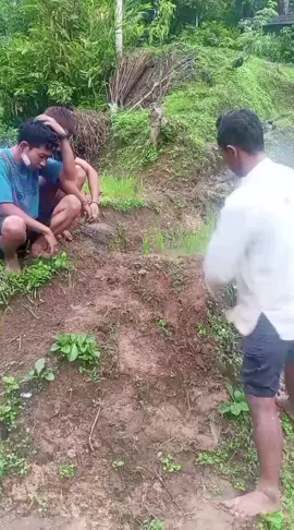 #LIVEIncentiveProgram #LIVEFEST2025 #MakeLIVECount #PaidPartnership 