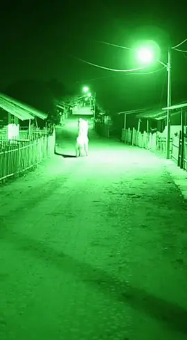 Nem a câmera de segurança atendeu o que ela capturou nesta madrugada em uma cidade rural #cctvcamera #cctv #videostiktok #criaturas #terror 