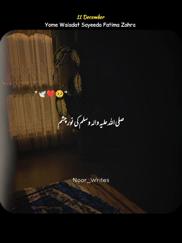 11 December Yome Waladat Sayeeda Fatima Zahra ❤️‍🩹🕊️🤌  . . . #fatimazahra #11december #dontunderreviewmyvideotiktok #islamicvideos #foryoupagе @TikTok 