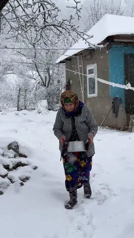 Cozy is not a place it’s a feeling ❄️🤍☕️ #cozy #warm #nature #holiday #christmas     