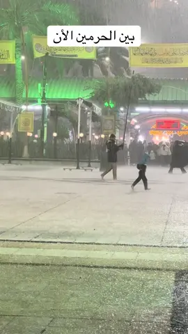 #المصور_حسين_المالكي #ترند_تيك_توك_مشاهير🧿❤️🔥اكسبلور #مالي_خلق_احط_هاشتاقات #مشاهير_تيك_توك_مشاهير_العرب 