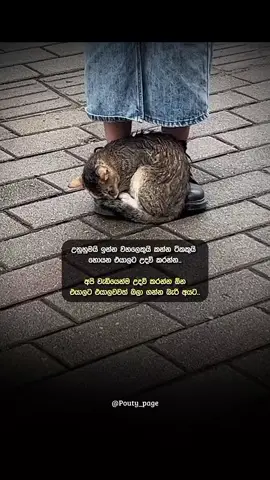 පුලුවන් තරම් උදව් කරන්න...🥺❤️‍🩹 #foryou #fypシ #fyp #pouty_me #pouty_you🥺 