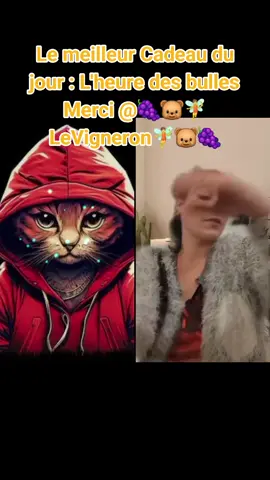 🍇🐻🧚LeVigneron🧚🐻🍇, merci pour ce merveilleux Cadeau envoyé dans mon LIVE ! Je vais garder ce moment en mémoire pour toujours. @🍇🐻🧚LeVigneron🧚🐻🍇 #tiktoklive #livehighlights #livegift #abubblytime #lheuredesbulles 