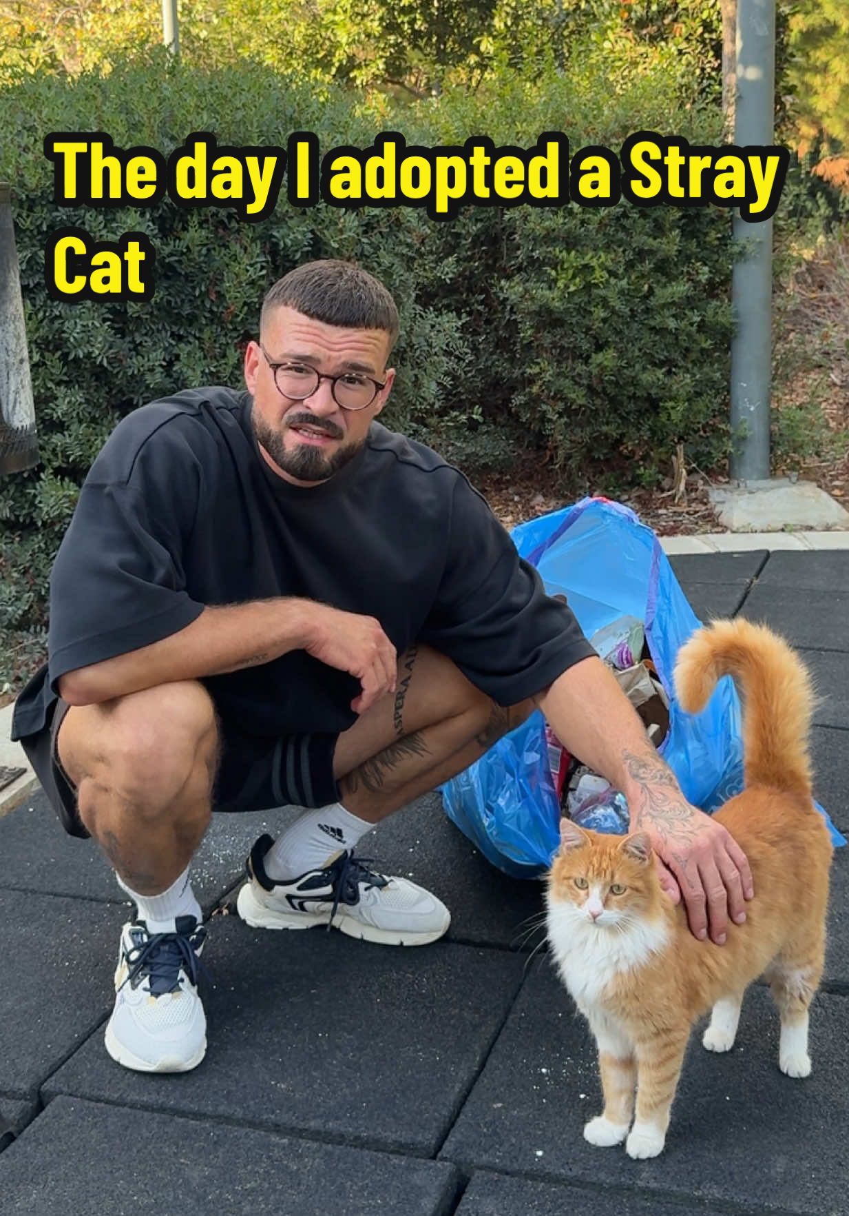 The Day Everything Changed - I finally made my decision to adopt a street cat 🐈🐱  #cat #cats #animallover #fyp #straycat 
