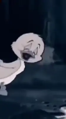 #💔🥀 #hawler_slemani_dhok_karkuk_hallabja 