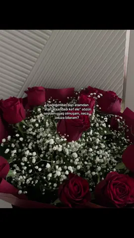 ❤️ #buzovna #тагизаде❤️🐈 