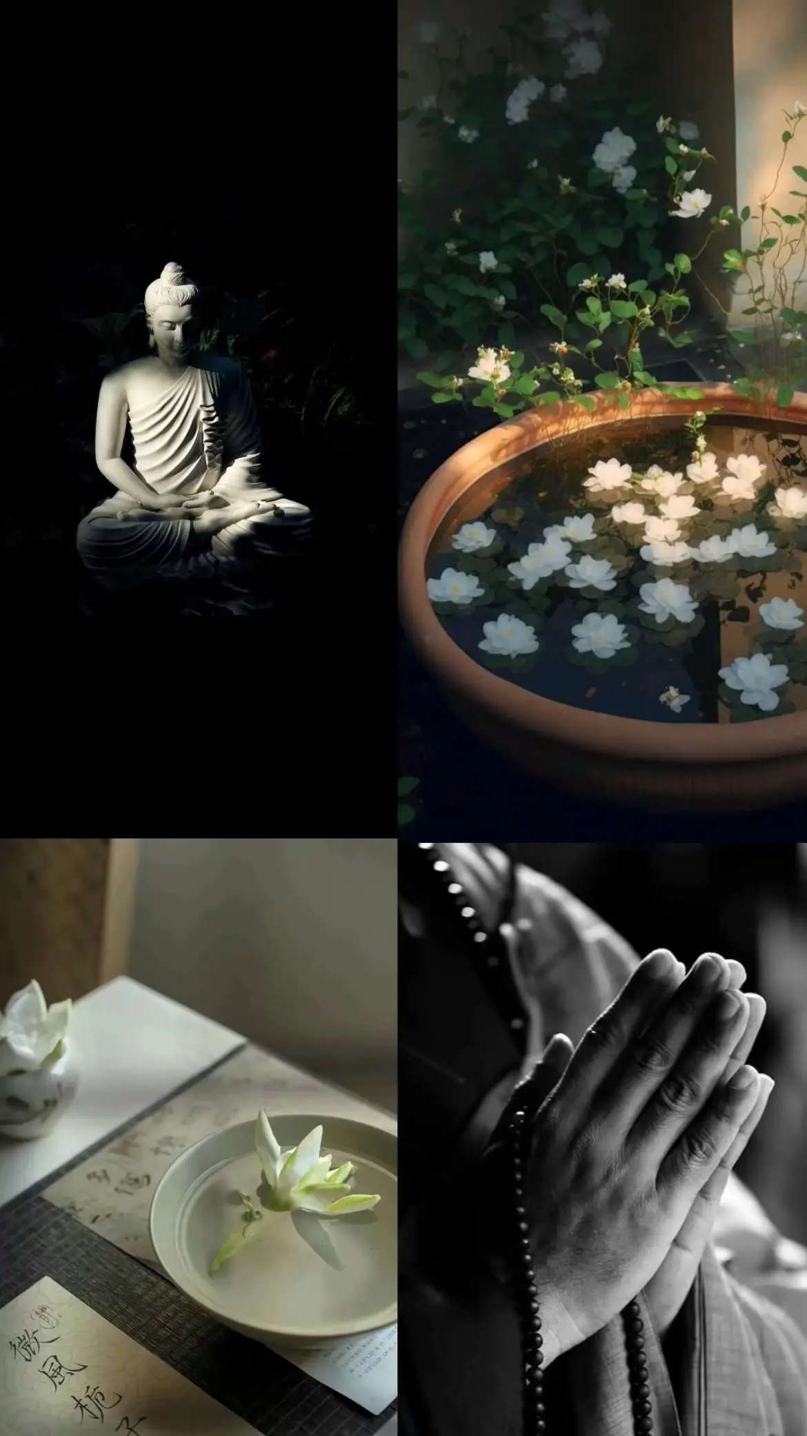 Chúng ta cứ đi vòng quanh mãi, rồi cũng sẽ nhận ra chẳng có gì đáng quý hơn một tấm lòng lương thiện ❤️ #phatphap #thichcamauniphat 