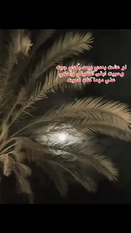 #تصميمي#تصميم_فيديوهات#تصويري#fyp#foryoupage 