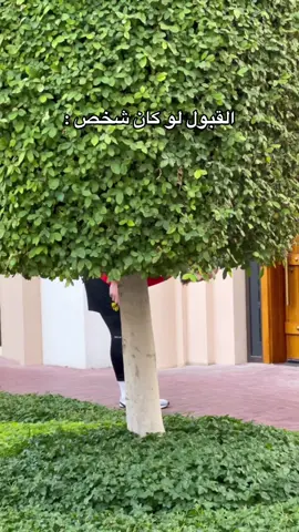 #explore #اكسبلور #fyp #الاتحاد #رايكوفيتش 