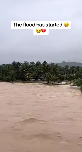 Ebo Noah please open the ark sorry if we doubted you 😭💔#ghanatiktok🇬🇭 #ebonoah 