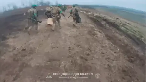 штурм лесопосадок кракен#30ШБ #украина#дснс #кракенгур#гур