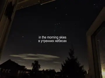 summertime sadness // #song #музыка #текстпесни #summertimesadness #avry832 