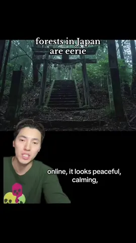japanese forests are scary, no hate to Japan though #fyp #japan #forest #scary #creepy  