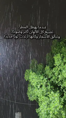 المطر هو رسالة إلهية بأن بعد كل جفاف، هناك ريّ، وبعد كل عسر، هناك يسر.⛈️🤍#مطر #creatorsearchinsights #أكسبلور 
