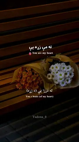 #poetry #pashtopoetry #pashtoshayari #yadona_0 