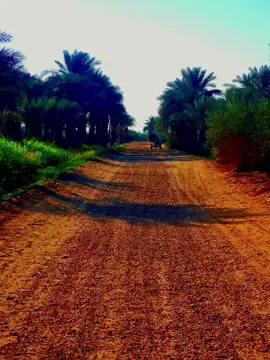 #باوقتناااا✌❤ 