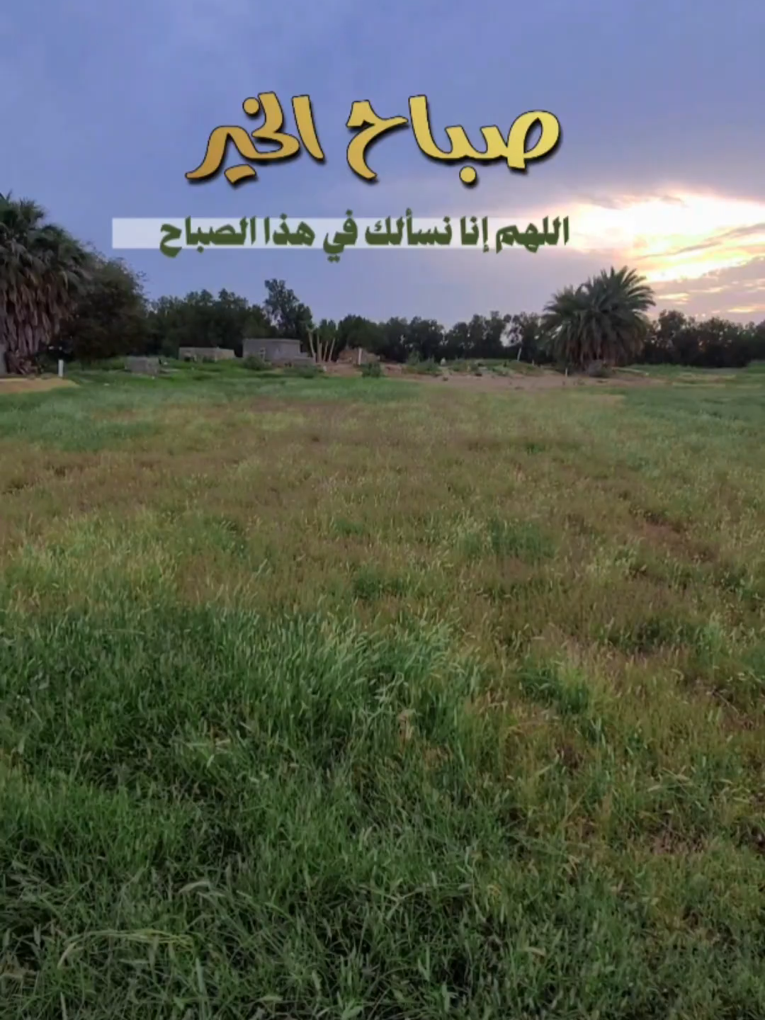 ##صباح_الخير #صباحكم_معطر_بذكر_الله