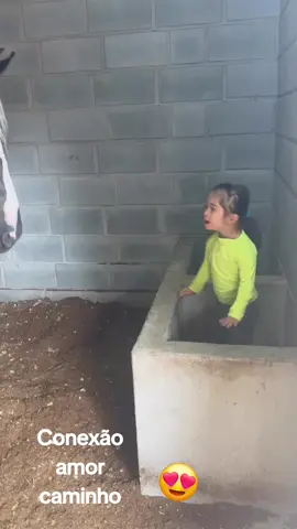 #conexao #amor #carinho #cavalos 