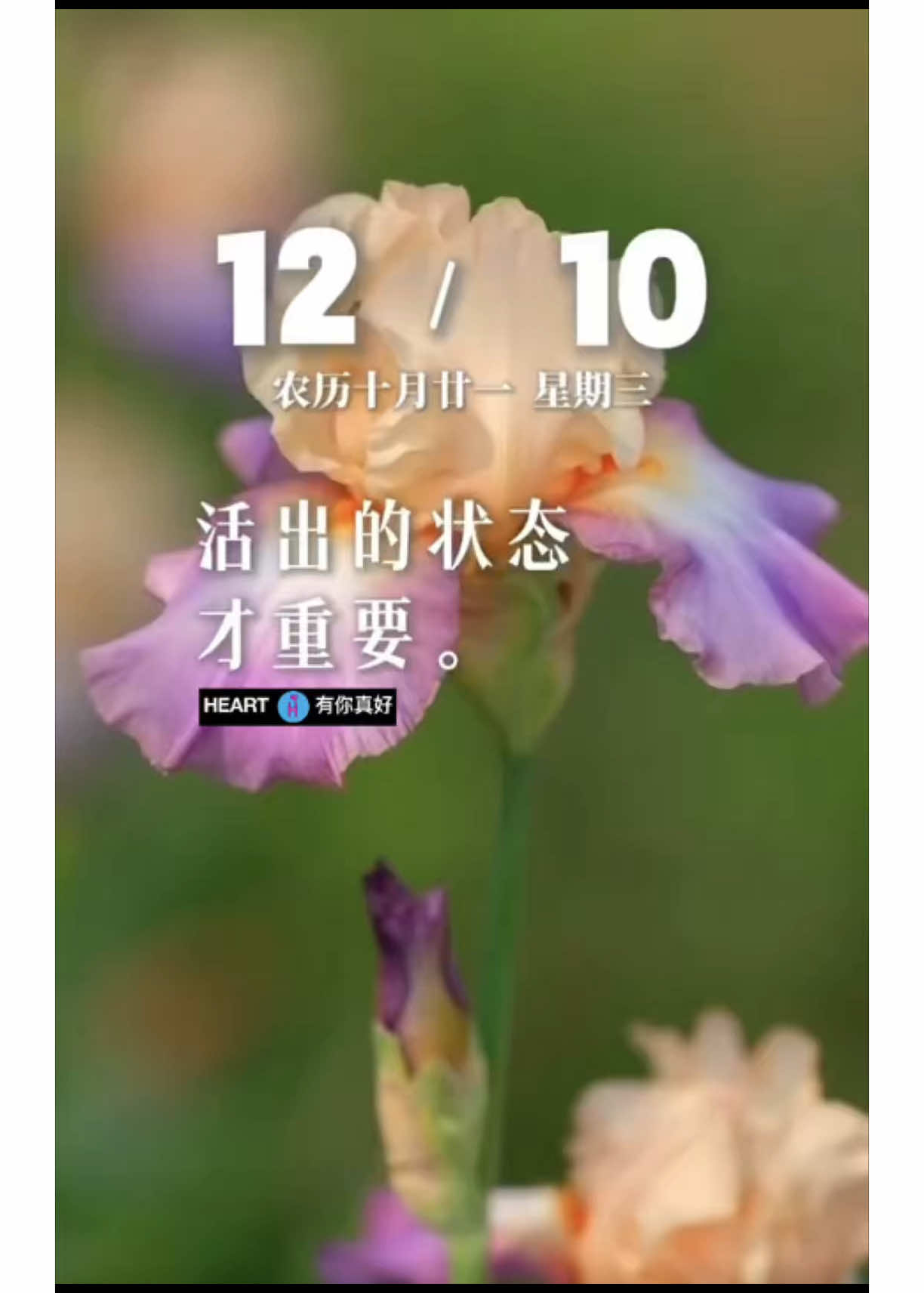 朋友！早安你好！ 早安心語：活出的狀態才重要。 今天是12月10日，星期三，早安！年齡數字不重要，活出的狀態才重要。別讓疲憊和抱怨刻在眉眼，你想要最好的生活，就讓生活先看到最好的你。新的一天，願你順利，一路繁花..加油！#好運會伴隨你的每一天#早安心語 @早安心語有你真好 「愉快的早晨 不变的祝福」 愿您: 精神好，心情好 运气好，身体好 一切都美好。  #早安心語有你真好❤️‍🩹 #HEART有你真好❤️