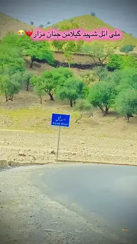 #پشتون_تاجیک_هزاره_ازبک_زنده_باد🇦🇫 #manzoor_pashteen #virel #roblox #manzoor_pashteen 