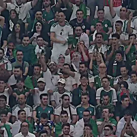 الجماهير الجزائرية تبدع كالعادة 🇩🇿🔥 !! #الجزائر🇩🇿 #algeria #fyp 