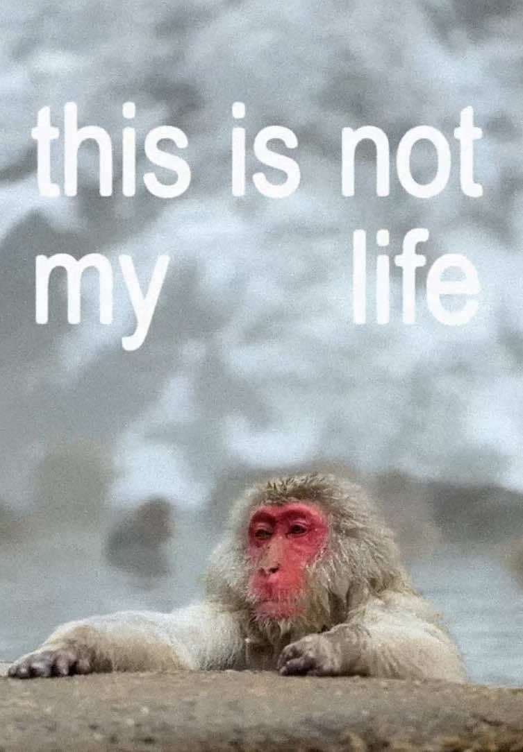 seigfried #frankocean #lyrics #monkey #song #fyp 