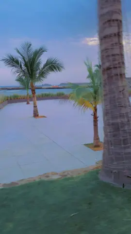 #pourtoi #viral #visibilite #vue #fyp 