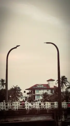 මේක ඔයාට Admin ළමයෝ ❤️‍🩹 ! #themiii_page #background #backgroundvideo #quotes #foryou 