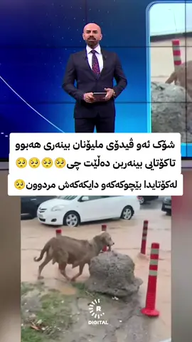 #mediyay_baretanya #uk_mideya 