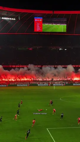 FC Bayern Choreo against Sporting Lisbon! 🔥 #fcbayern #fußball #viral #fyp #FCBSCP 
