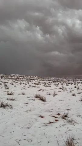 بردية شمال حايل 🤍😮‍💨 #حايل #خب_المقنع #حايلندا 