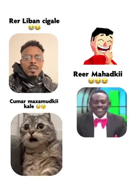 Cumar maxamuud ma sixran yahay aa 😂😂😂😂😂😂😂😂😂😂 #Mahadbadane🇳🇬🦅💣❤️💸🦁🦁🦁 #reermahad_empire🦁💪 