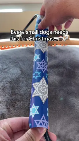 Wait till the end of the video😭 #tiktokmademebuyit #doglover #dogs #dog #toastyhoody 