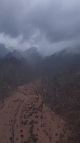 #المدينة_المنورة #السعودية #fyp 