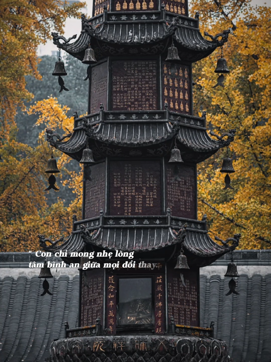 Nghiệp kia đã nhẹ rồi kiếp này thôi chẳng cần níu lại... #nhachaymoingay #phatphap 