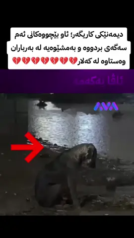 #uk_mideya #mediyay_baretanya 