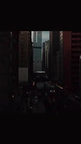 🖖🏻 ..                   #fifaarabcup #كأسالعرب #morocco🇲🇦 #lmorphin 