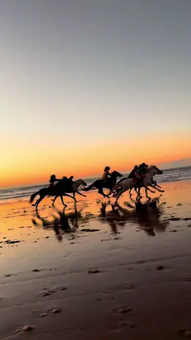 About our last trek in Morocco🔥🥵🐴 wanna be the next to live this adrenaline? Stay tuned for the next dates 🫣✨ #horseridingmorocco #grouptrip #horsegallop #horsegirlvibes #stallionhorse 