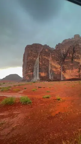 #الزيته #نيوم_تبوك_الشمال #السعودية 